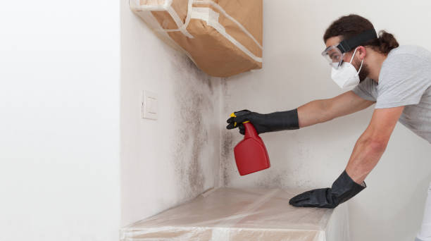 Professional Basement Mold Remediation technician working in Benson, NC