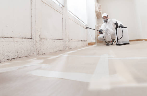 24/7 Emergency Basement Mold Remediation experts in Benson, NC